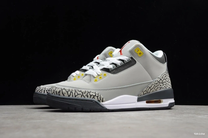 Reps TBK Grey CT8532-012 Retro Cool 3 Air Jordan (2021) 0812
